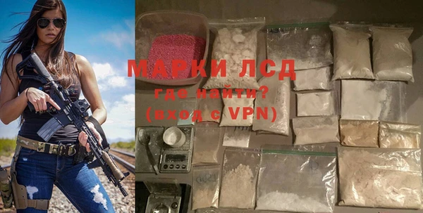 прущие грибы Дрезна